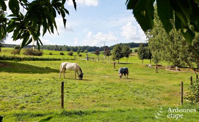 Holiday on a farm in Plombires for 4 persons in the Ardennes