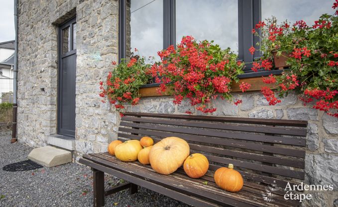 Holiday cottage in Han Sur Lesse for 8/9 persons in the Ardennes